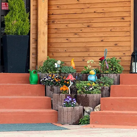 Guest house Aranylo Vendeghaz 3*