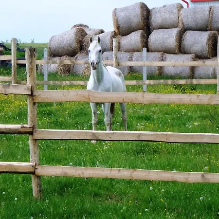 Guest house Aranylo Vendeghaz