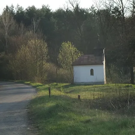 Aranylo Vendeghaz Alsotelekes