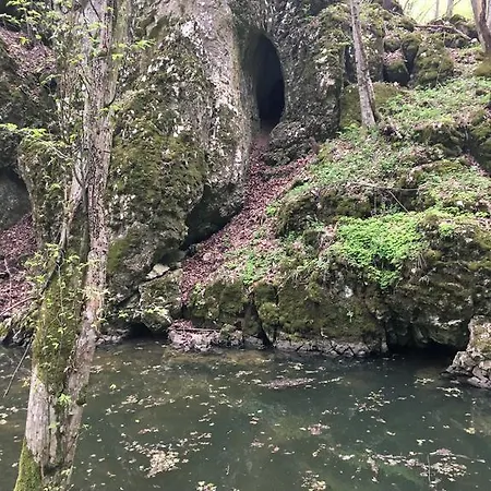 Guest house Aranylo Vendeghaz