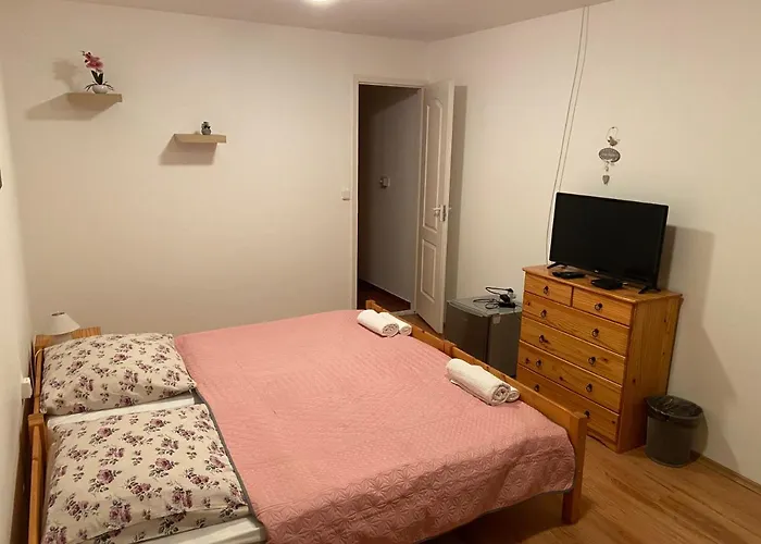 Pensiune Aranylo Vendeghaz 3*