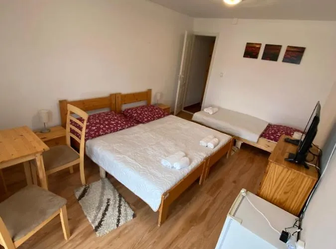 Aranylo Vendeghaz Pensiune 3*